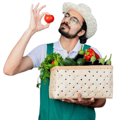 https://chashnibox.com/wp-content/uploads/2024/06/pic-slider1-e1718519050884.png
